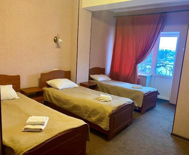 Golden Lion Hotel Boryspil Zewnętrze zdjęcie
