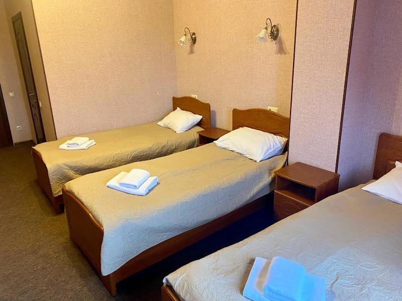 Golden Lion Hotel Boryspil Zewnętrze zdjęcie